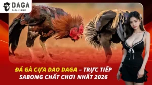 Đá Gà Cựa Dao Daga – Trực Tiếp Sabong Chất Chơi Nhất 2026