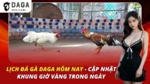 Lịch Đá Gà DAGA Hôm Nay – Cập Nhật Khung Giờ Vàng Trong Ngày